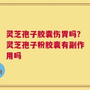 灵芝孢子胶囊伤胃吗？灵芝孢子粉胶囊有副作用吗