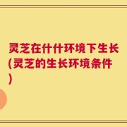 灵芝在什什环境下生长(灵芝的生长环境条件)