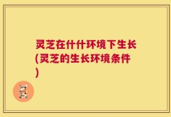 灵芝在什什环境下生长(灵芝的生长环境条件)