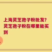 上海灵芝孢子粉批发？灵芝孢子粉在哪里能买到