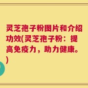 灵芝孢子粉图片和介绍功效(灵芝孢子粉：提高免疫力，助力健康。)
