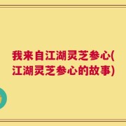 我来自江湖灵芝参心(江湖灵芝参心的故事)