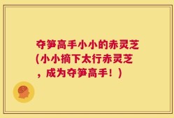 夺笋高手小小的赤灵芝(小小摘下太行赤灵芝，成为夺笋高手！)