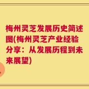 梅州灵芝发展历史简述图(梅州灵芝产业经验分享：从发展历程到未来展望)