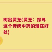 树出灵芝(灵芝：探寻这个传统中药的潜在好处)