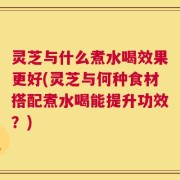 灵芝与什么煮水喝效果更好(灵芝与何种食材搭配煮水喝能提升功效？)