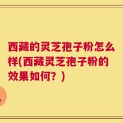 西藏的灵芝孢子粉怎么样(西藏灵芝孢子粉的效果如何？)