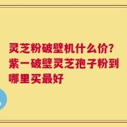 灵芝粉破壁机什么价？紫一破壁灵芝孢子粉到哪里买最好