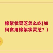 棉絮状灵芝怎么吃(如何食用棉絮状灵芝？)