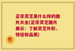 正宗灵芝是什么样的图片大全(正宗灵芝图片展示：了解灵芝外形、特征和品质)