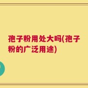 孢子粉用处大吗(孢子粉的广泛用途)