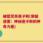 破壁灵异孢子粉(穿越迷雾：神秘孢子粉的神奇力量)