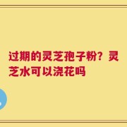 过期的灵芝孢子粉？灵芝水可以浇花吗