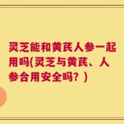 灵芝能和黄芪人参一起用吗(灵芝与黄芪、人参合用安全吗？)