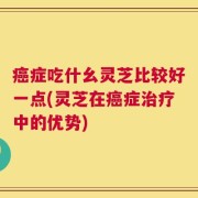 癌症吃什幺灵芝比较好一点(灵芝在癌症治疗中的优势)