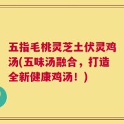 五指毛桃灵芝土伏灵鸡汤(五味汤融合，打造全新健康鸡汤！)