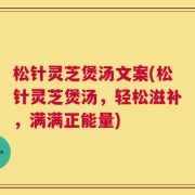 松针灵芝煲汤文案(松针灵芝煲汤，轻松滋补，满满正能量)