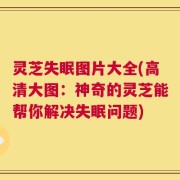 灵芝失眠图片大全(高清大图：神奇的灵芝能帮你解决失眠问题)