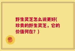 野生灵芝怎么说更好(珍贵的野生灵芝，它的价值何在？)