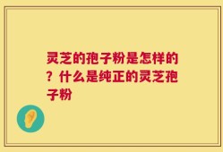 灵芝的孢子粉是怎样的？什么是纯正的灵芝孢子粉