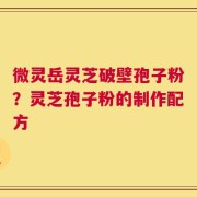 微灵岳灵芝破壁孢子粉？灵芝孢子粉的制作配方