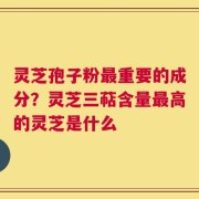 灵芝孢子粉最重要的成分？灵芝三萜含量最高的灵芝是什么