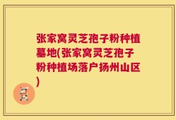 张家窝灵芝孢子粉种植墓地(张家窝灵芝孢子粉种植场落户扬州山区)