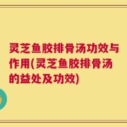 灵芝鱼胶排骨汤功效与作用(灵芝鱼胶排骨汤的益处及功效)