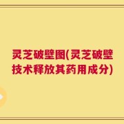 灵芝破壁图(灵芝破壁技术释放其药用成分)