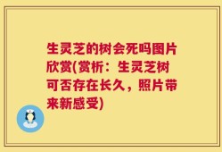 生灵芝的树会死吗图片欣赏(赏析：生灵芝树可否存在长久，照片带来新感受)