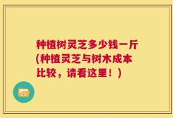 种植树灵芝多少钱一斤(种植灵芝与树木成本比较，请看这里！)