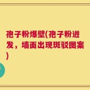 孢子粉爆壁(孢子粉迸发，墙面出现斑驳图案)