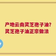 产地云南灵芝孢子油？灵芝孢子油正宗做法