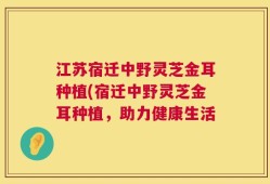 江苏宿迁中野灵芝金耳种植(宿迁中野灵芝金耳种植，助力健康生活