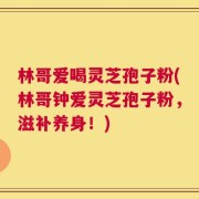 林哥爱喝灵芝孢子粉(林哥钟爱灵芝孢子粉，滋补养身！)