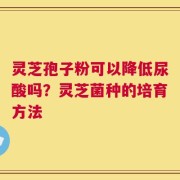 灵芝孢子粉可以降低尿酸吗？灵芝菌种的培育方法
