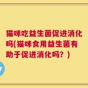 猫咪吃益生菌促进消化吗(猫咪食用益生菌有助于促进消化吗？)