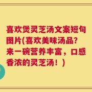 喜欢煲灵芝汤文案短句图片(喜欢美味汤品？来一碗营养丰富，口感香浓的灵芝汤！)