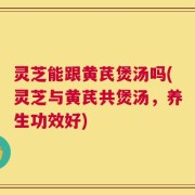 灵芝能跟黄芪煲汤吗(灵芝与黄芪共煲汤，养生功效好)