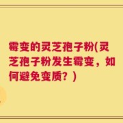 霉变的灵芝孢子粉(灵芝孢子粉发生霉变，如何避免变质？)
