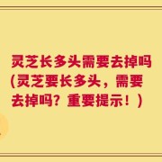 灵芝长多头需要去掉吗(灵芝要长多头，需要去掉吗？重要提示！)