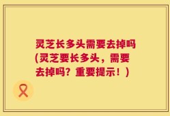 灵芝长多头需要去掉吗(灵芝要长多头，需要去掉吗？重要提示！)