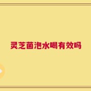 灵芝菌泡水喝有效吗