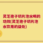 灵芝孢子切片泡水喝的功效(灵芝孢子切片泡水饮用的益处)