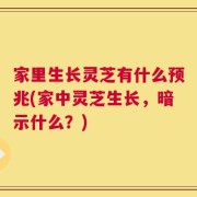 家里生长灵芝有什么预兆(家中灵芝生长，暗示什么？)