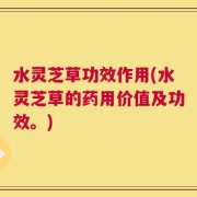 水灵芝草功效作用(水灵芝草的药用价值及功效。)