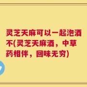 灵芝天麻可以一起泡酒不(灵芝天麻酒，中草药相伴，回味无穷)