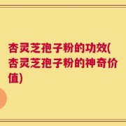 杏灵芝孢子粉的功效(杏灵芝孢子粉的神奇价值)