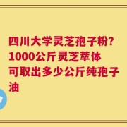 四川大学灵芝孢子粉？1000公斤灵芝萃体可取出多少公斤纯孢子油