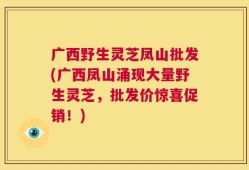广西野生灵芝凤山批发(广西凤山涌现大量野生灵芝，批发价惊喜促销！)